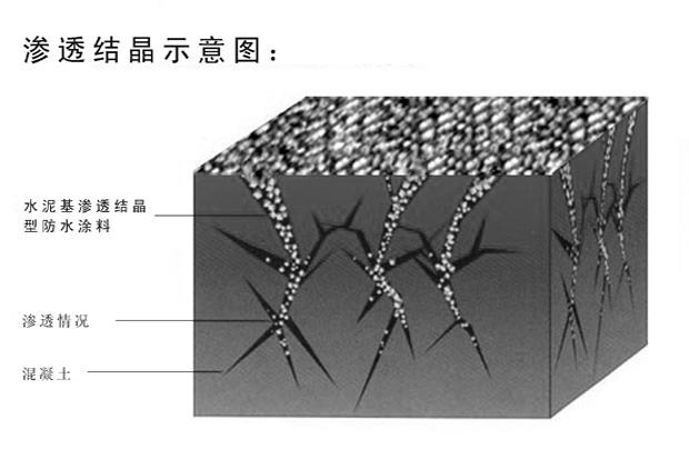 水泥基滲透結(jié)晶型防水涂料防水原理圖.jpg